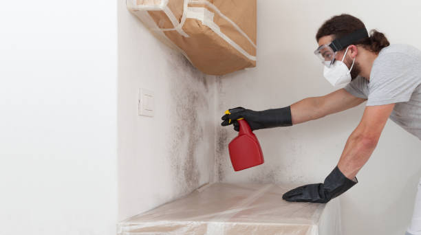 Professional Black Mold Remediation technician working in Melfa, VA