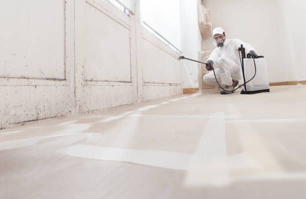 24/7 Emergency Black Mold Remediation experts in Melfa, VA